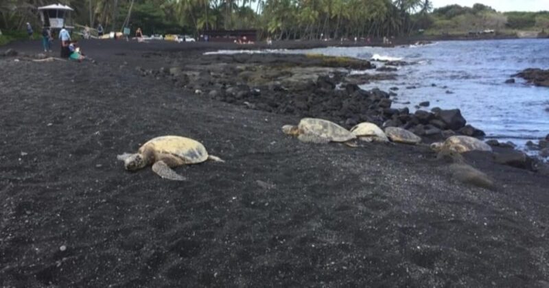 Kona: Choose Your Own Adventure - Kona: Choose Your Own Adventure — A Personalized Day on the Big Island