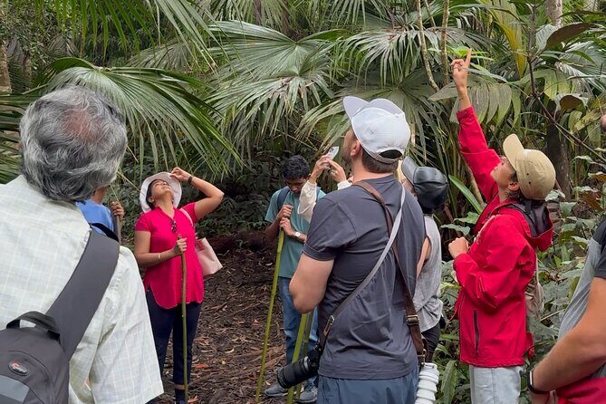 Kona Cloud Forest and Coffee Tour with Sea Turtle Beach Visit - What Makes This Tour Stand Out?