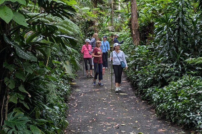 Kona Cloud Forest and Coffee Tour with Sea Turtle Beach Visit - FAQs