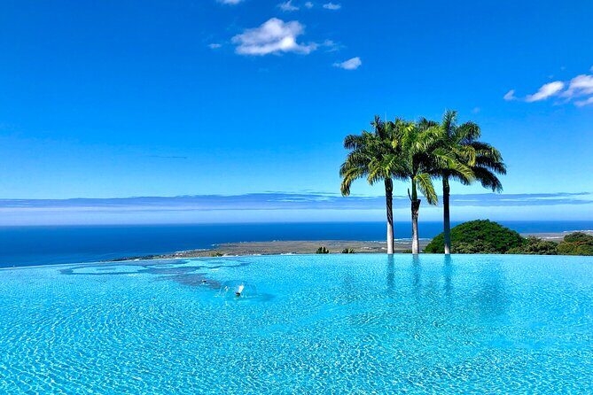 Kona Cloud Forest and Coffee Tour with Sea Turtle Beach Visit - Final Thoughts