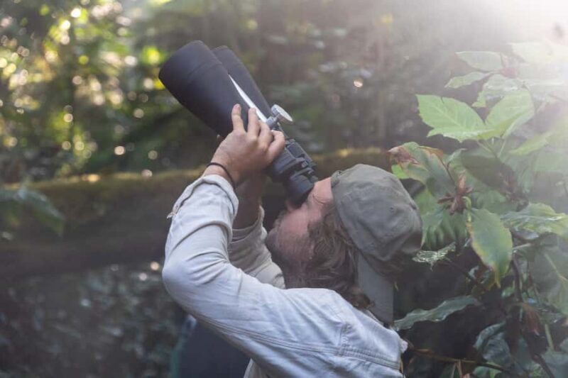 Kona Cloud Forest Sanctuary: Pan-Tropical Trail Guided Walk - Price, Value, and Overall Assessment