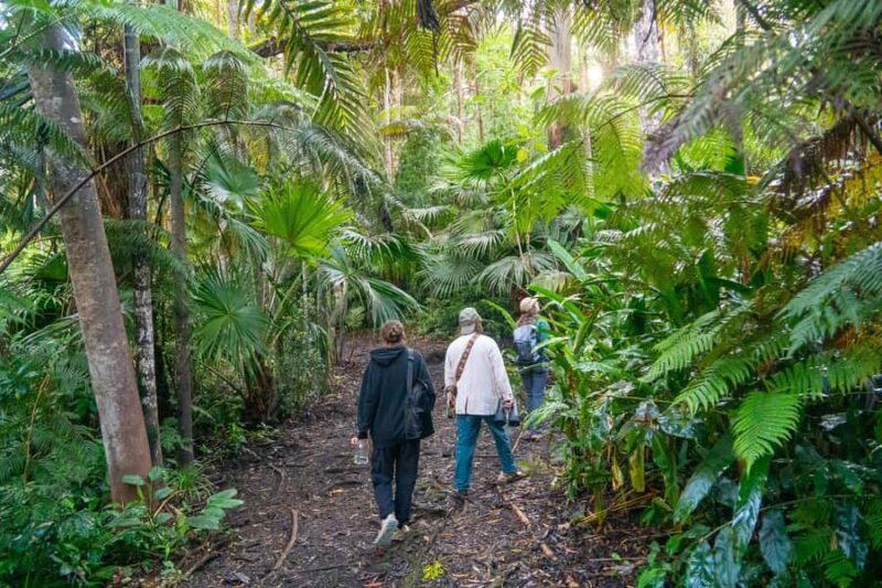 Kona Cloud Forest Sanctuary: Pan-Tropical Trail Guided Walk - Who Should Consider This Tour?