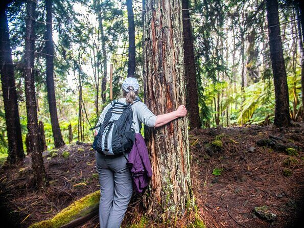 Kona Cloud Forest Sanctuary Pantropical Tour (1.5 hrs) - Discover the Lush Beauty of Kona’s Cloud Forest: A Guide to the Pantropical Tour