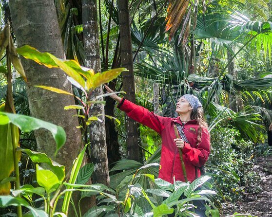 Kona Cloud Forest Sanctuary Pantropical Tour (1.5 hrs) - An In-Depth Look at the Kona Cloud Forest Sanctuary Pantropical Tour