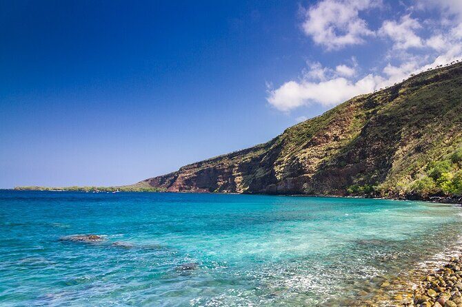 Kona Coast Cruise: Snorkel Kealakekua Bay & Dolphin Encounter - Key Points