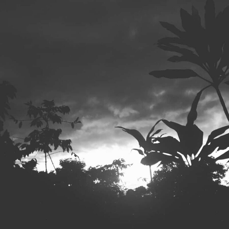 Kona Coast: Rooster Farms Coffee Tasting - Final Thoughts