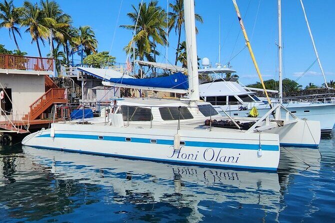 Kona Coastline Escape: Sail with Dolphins & Turtles on Honi Olani - Key Points
