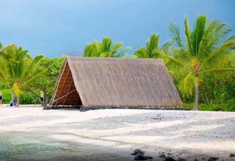 Kona: Coffee and Sea Turtles Tour - The Sum Up