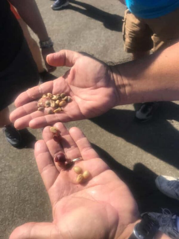 Kona: Coffee and Sea Turtles Tour - FAQ