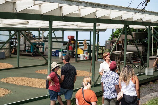 Kona Coffee Farm Tour - Kona Coffee Farm Tour: A Genuine Taste of Hawaii’s Coffee Culture