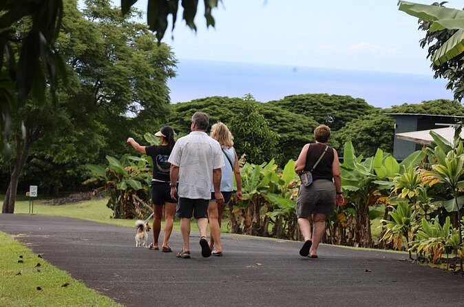 Kona Coffee Farm Tour from Tree to Tasting Room - FAQ