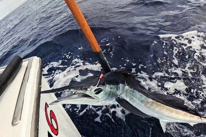 Kona Hawaii Deep Sea Fishing Escapade on the Bite Me 6 - FAQ