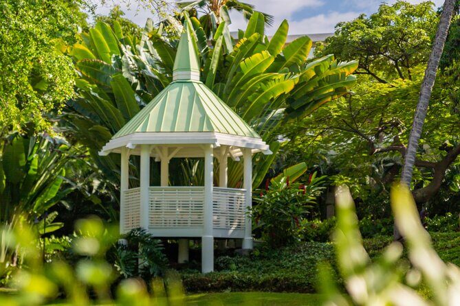 Kona Hawaii Photographer 25 minute session at Outrigger Resort - The Digital Images: Quality, Delivery, and Value