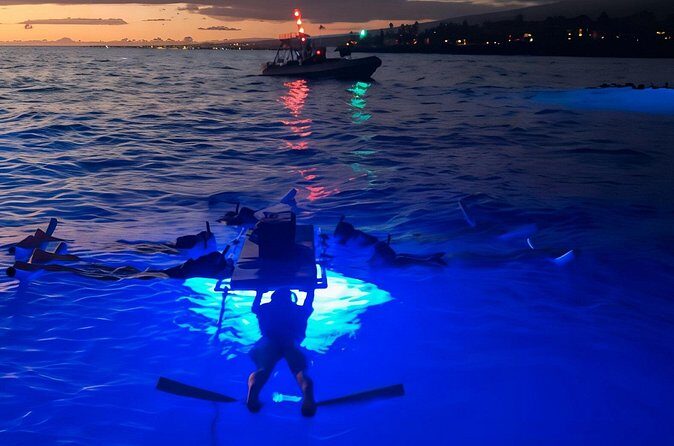 Kona Manta Night Snorkel Adventure: Swim with Majestic Rays - The Value of This Tour