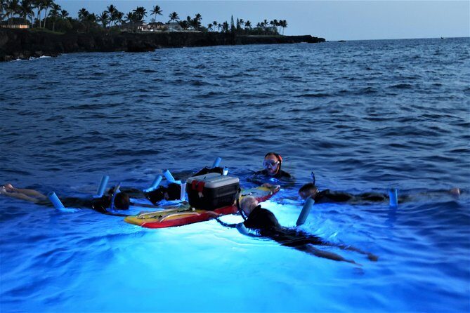 Kona Manta Rays Guaranteed Night Snorkel in Keauhou Harbor - Who Should Consider This Tour?