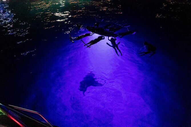Kona Night Manta Snorkel Tour - Discovering Kona’s Night Manta Snorkel Experience