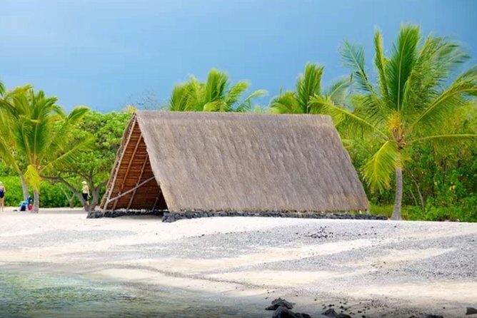 Kona Shore Excursion: Sea Turtles, Historic Kona & Coffee - Who’s It Best For?