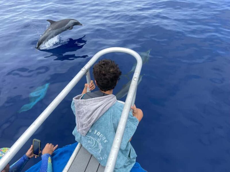 Kona: Small Group Ocean Safari + Snorkel - Is This Tour Worth the Price?