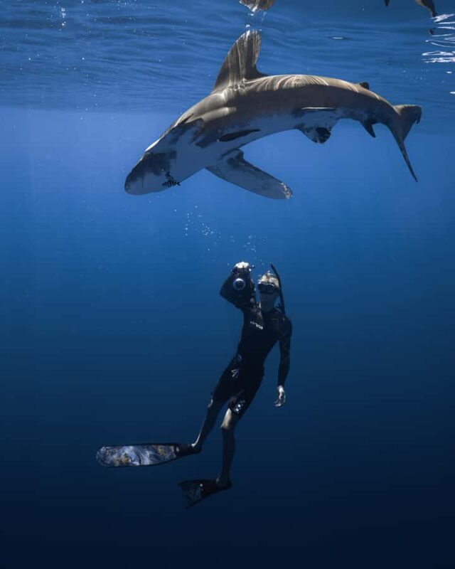 Kona: Small Group Ocean Safari + Snorkel - Who Should Book This Tour?