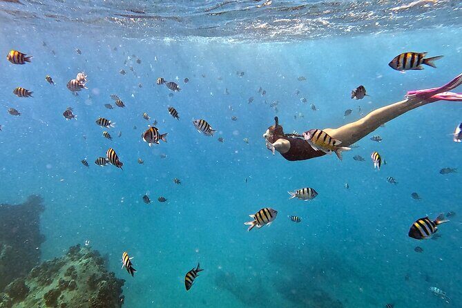 Kona Snorkeling Adventure Open Charter - An Authentic Hawaiian Snorkeling Experience on the Kona Coast