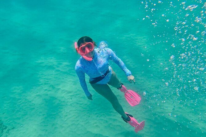 Kona Snorkeling Adventure Open Charter - Key Points