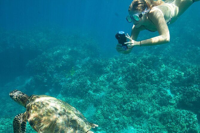 Kona Snorkeling Adventure Open Charter - Final Thoughts