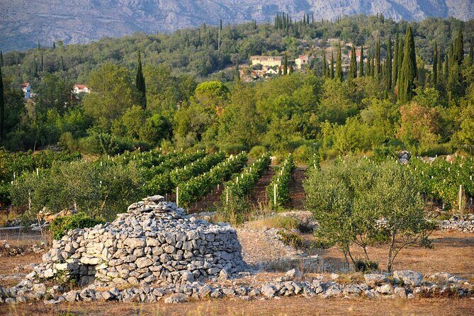 Konavle Countryside & Falcon Fortress: Half-Day Tour with Lunch - Exploring the Itinerary in Detail