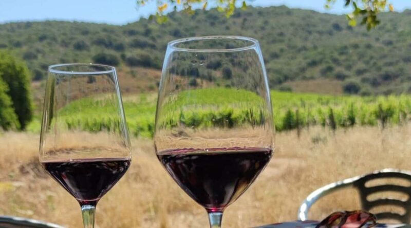 Konavle Private Countryside Experience with Wine & Spirits - Unpacking the Experience: A Look at What You’ll Do
