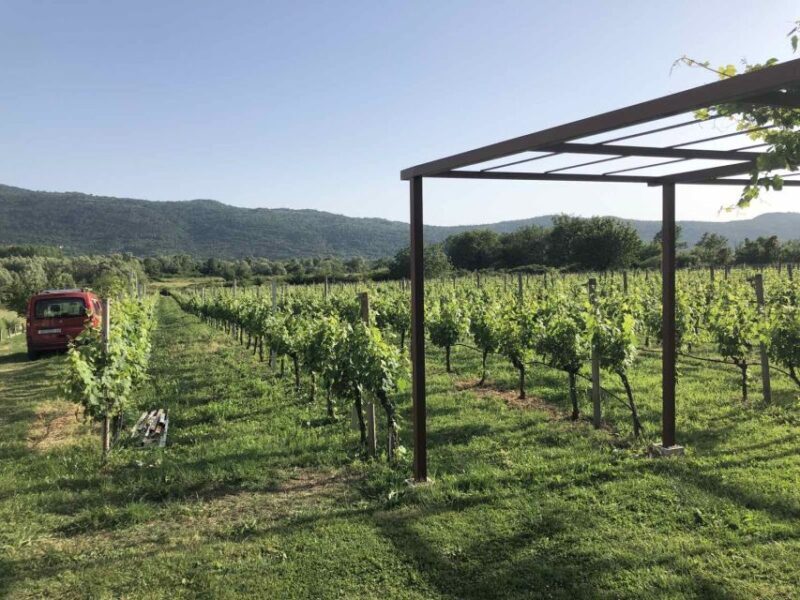 Konavle Valley: Private Half-Day Tour with Wine Tasting - The Sum Up: Is It Worth It?