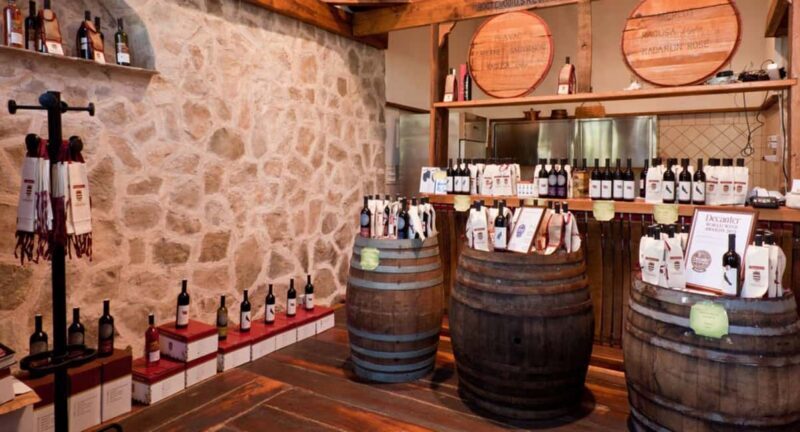 Konavle Valley: Wine tasting at Dubrovnik Cellars - Introducing Dubrovnik Cellars and Its Heritage