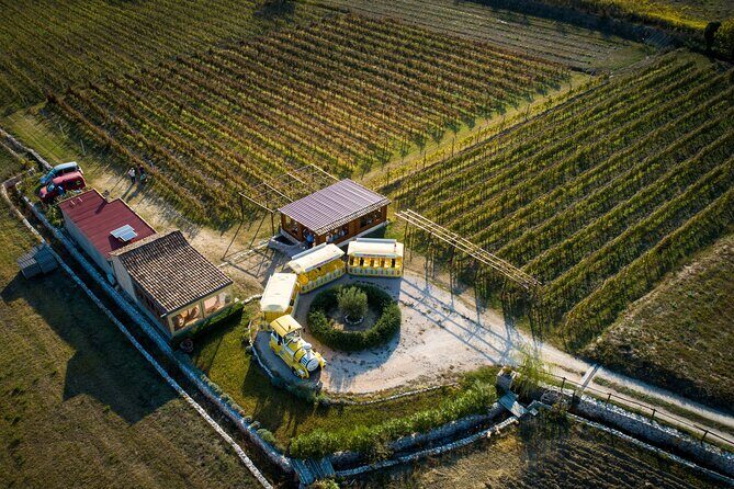 Konavle Valley Wine Tour from Dubrovnik with Train Ride and Wine Tasting - A Detailed Look at the Konavle Valley Wine Tour