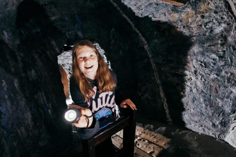 Kongsberg: Norwegian Mining Museum and Geolab Entry Ticket - Who Should Consider This Tour?