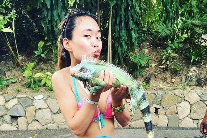 Konoko Falls and Tropical Garden Tour from Runaway Bay - Final Thoughts: Is It Worth It?