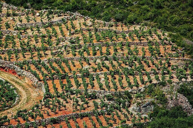 Konvale Jeep Safari Tour from Cavtat with Lunch - Authenticity and Reviewer Feedback