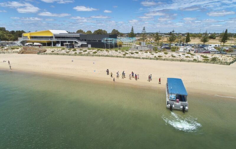 Koombana Bay: Dolphin Eco Cruise - The Sum Up: Why You Should Consider the Koombana Bay Dolphin Eco Cruise