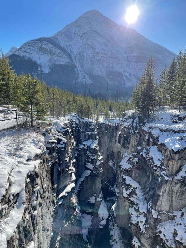 Kootenay: From Icy Mountain Rivers to Steamy Hot Springs - Who Should Consider This Tour?