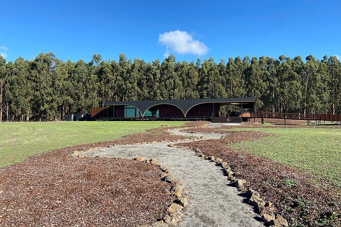 Kooyang Yana Full Day Tour - Budj Bim - Discover the Gunditjmara World Heritage Site with the Kooyang Yana Full Day Tour