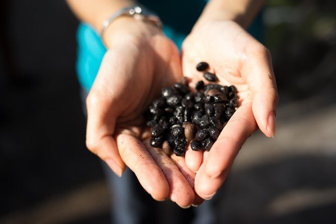 Kopi & Loti - FAQ (Frequently Asked Questions)