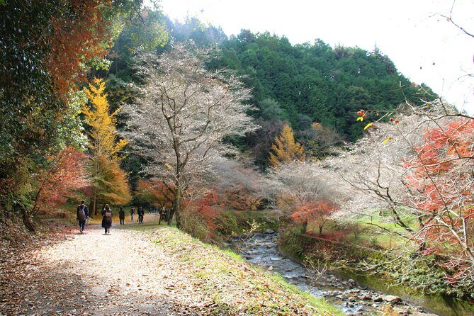 Korankei and Obara Bus Tour Papermaking Experience Course - FAQ