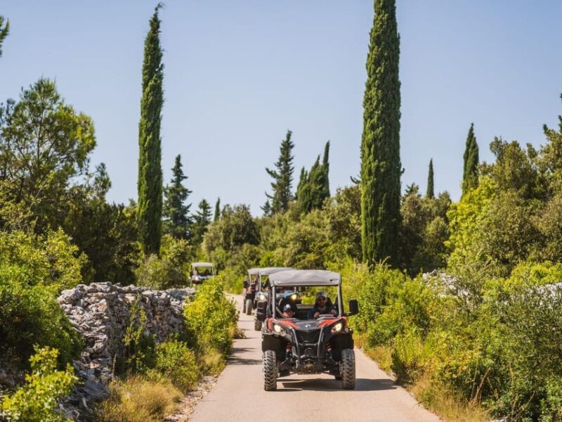 Korcula Buggy Safari With Wine Tasting - Introduction
