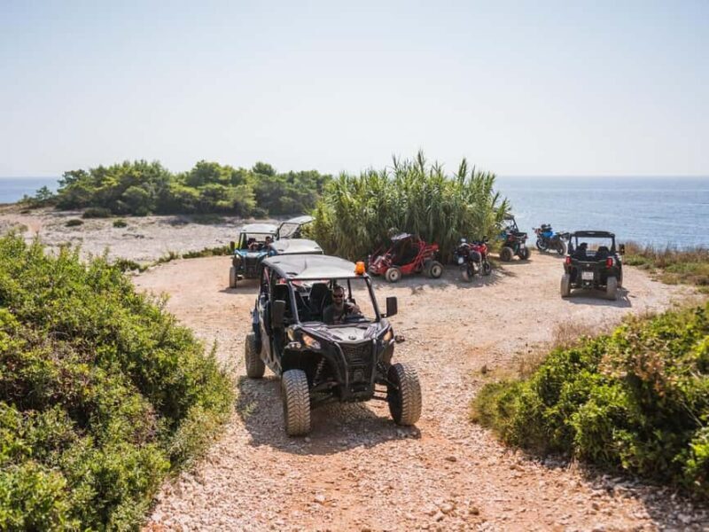 Korcula Buggy Safari With Wine Tasting - Key Points