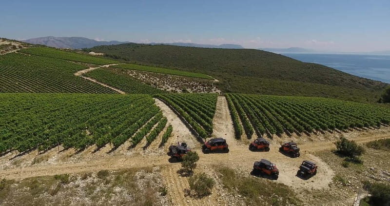 Korcula Island: Buggy Beach Safari with Lunch and Snorkeling - Practicalities and Considerations