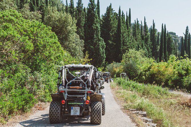 Korcula Island Buggy Safari Tour Local Food & Wine Tasting - The Sum Up: Who Will Love This Tour?