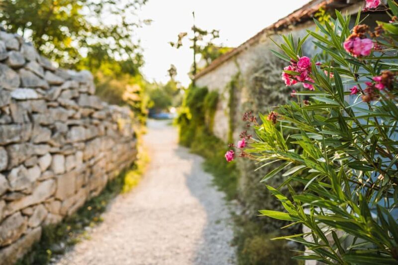 Korcula Lux Islands Picnic Boat Tour - Final Thoughts: Who Should Consider This Tour?