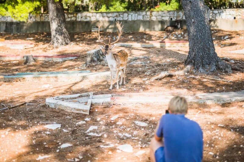Korcula Lux Islands Picnic Boat Tour - FAQ