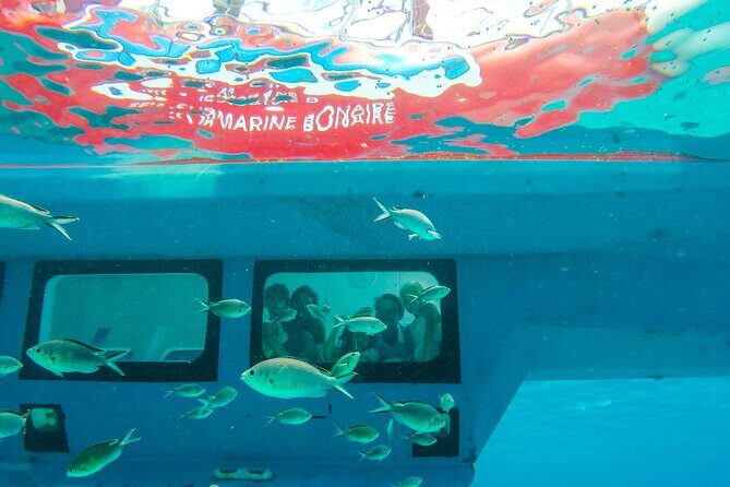 Korcula Semisubmarine Tour - What’s the Korcula Semisubmarine Tour All About?