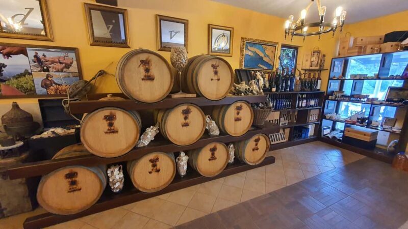 Korcula, Ston, Wine Tasting and Lunch - Tour from Dubrovnik - Final Thoughts