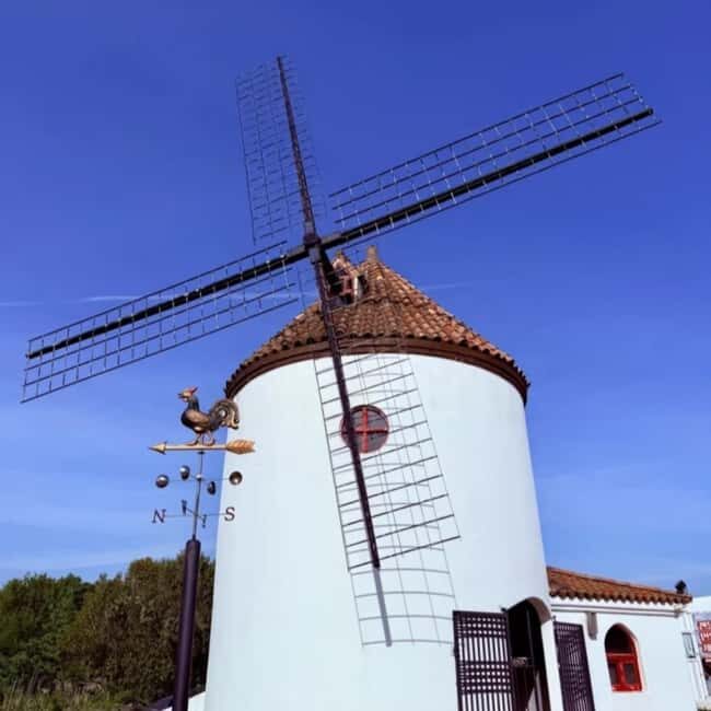 Korea Mt. Hallasan Echoland Park Forest Train & Entry Ticket - Key Points