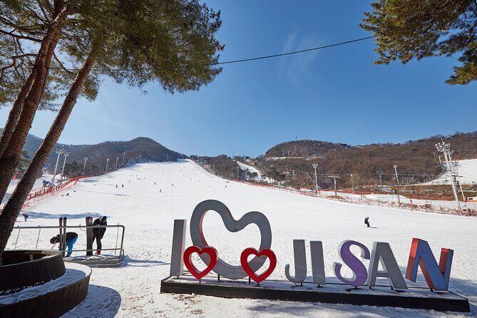 Korea Ski Tour from Seoul - Jisan Forest Resort - Experience a Day of Skiing at Jisan Forest Resort from Seoul