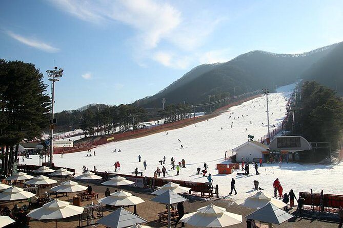 Korea Ski Tour from Seoul - Jisan Forest Resort - A Deep Dive into the Korea Ski Tour Experience